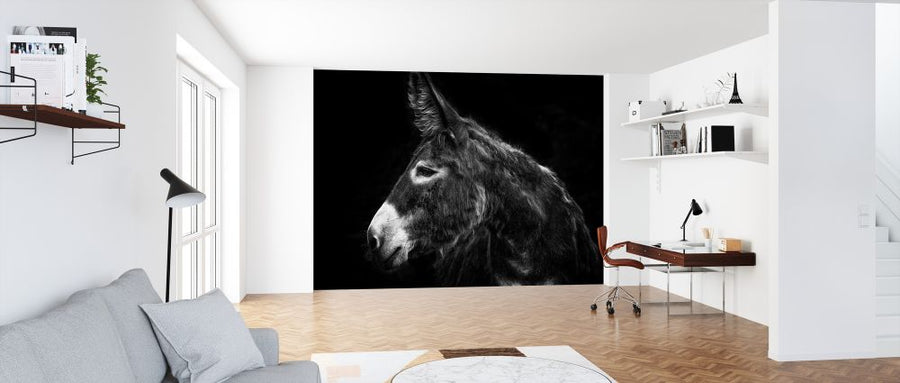 PHOTOWALL / Donkey Portrait (e324957)