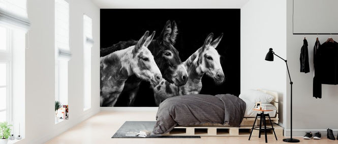 PHOTOWALL / Donkey Portrait II (e324958)