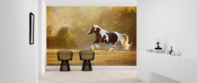 PHOTOWALL / Golden Lit Horse II (e324960)