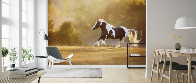 PHOTOWALL / Golden Lit Horse II (e324960)