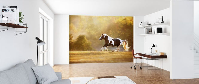 PHOTOWALL / Golden Lit Horse II (e324960)