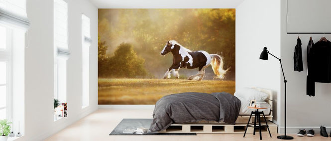 PHOTOWALL / Golden Lit Horse II (e324960)