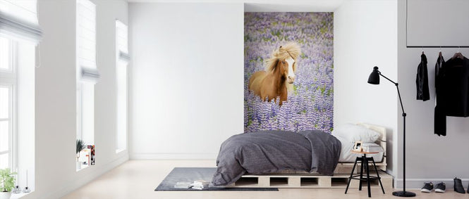 PHOTOWALL / Horse in Lavender (e324961)