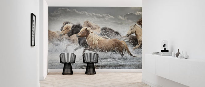 PHOTOWALL / Horse Run (e324962)