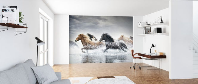 PHOTOWALL / Horse Run II (e324963)