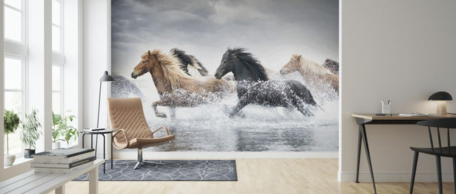 PHOTOWALL / Horse Run II (e324963)