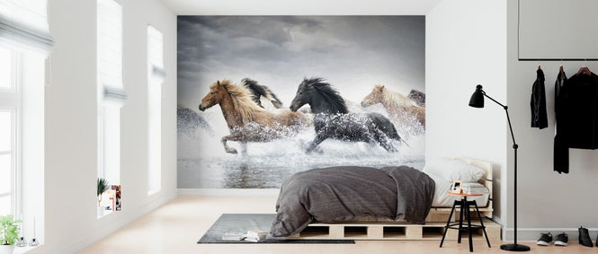 PHOTOWALL / Horse Run II (e324963)