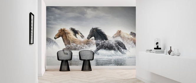 PHOTOWALL / Horse Run II (e324963)
