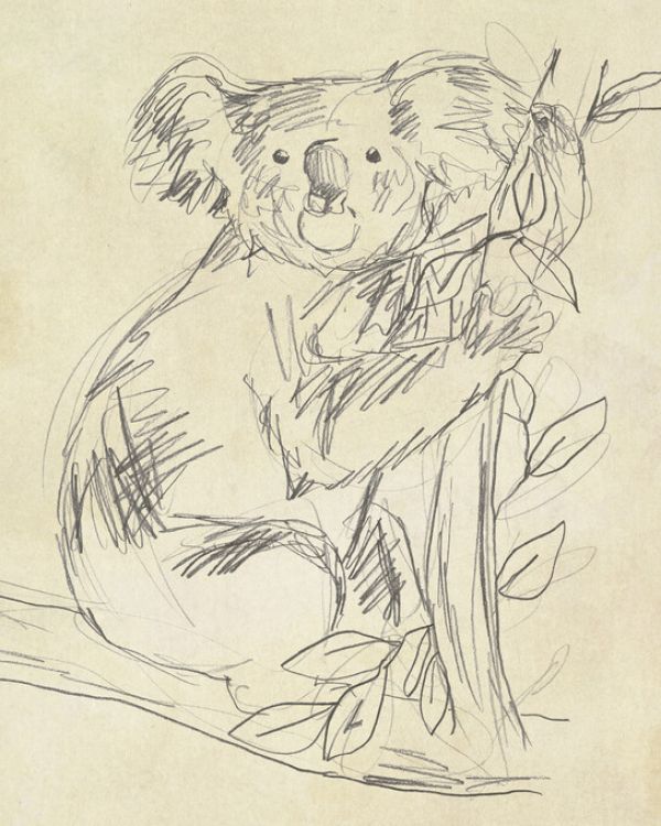 PHOTOWALL / Outback Sketch (e324984)