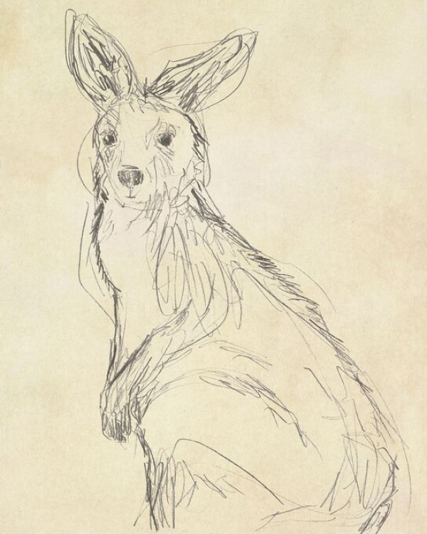 PHOTOWALL / Outback Sketch II (e324985)