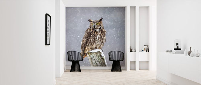 PHOTOWALL / Great Horned Owl (e324997)