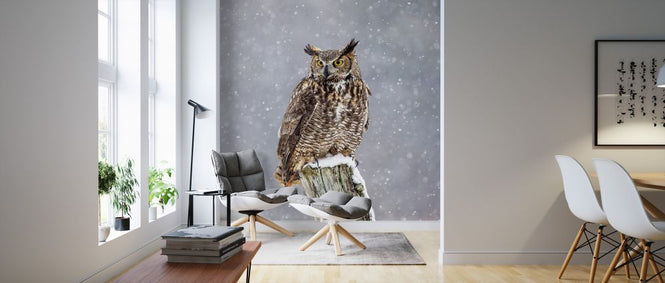 PHOTOWALL / Great Horned Owl (e324997)