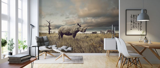 PHOTOWALL / Rhino and Zebra in Grasslands (e325001)
