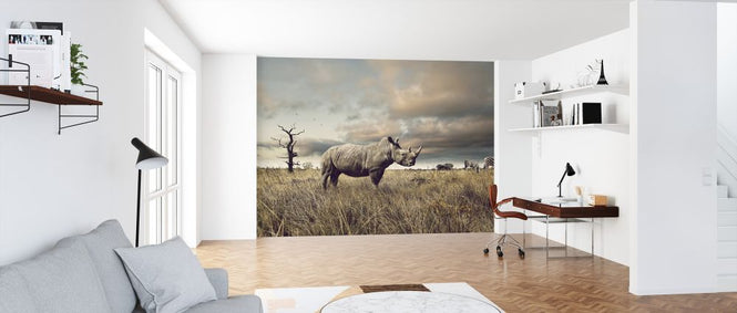 PHOTOWALL / Rhino and Zebra in Grasslands (e325001)