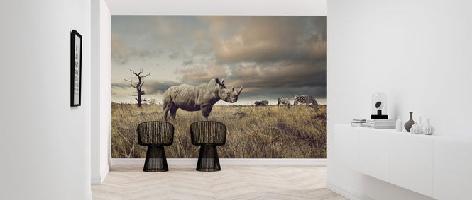 PHOTOWALL / Rhino and Zebra in Grasslands (e325001)