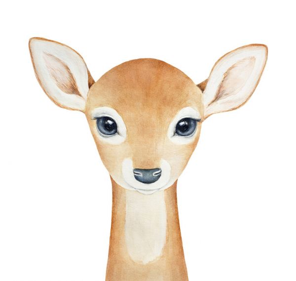 PHOTOWALL / Baby Deer Portrait (e325035)