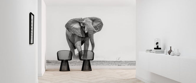 PHOTOWALL / African Elephant (e325040)