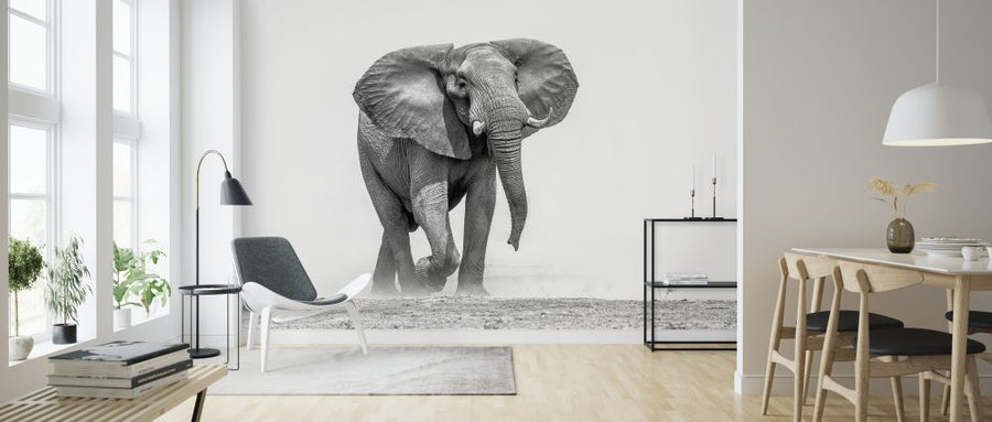 PHOTOWALL / African Elephant (e325040)