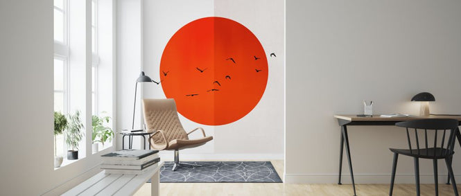PHOTOWALL / Seagulls of the Sun (e327765)