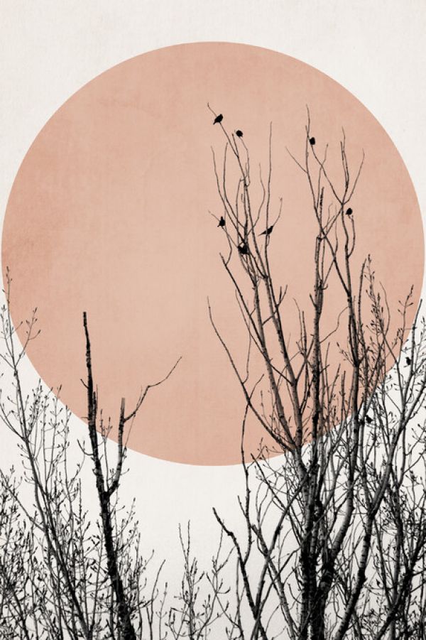 PHOTOWALL / Sunset Dreams - Rose (e327769)