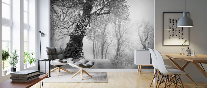 PHOTOWALL / Winters Way II (e327795)