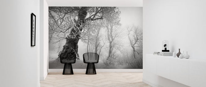 PHOTOWALL / Winters Way II (e327795)