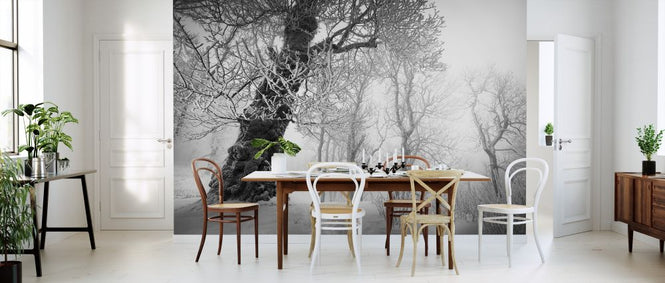 PHOTOWALL / Winters Way II (e327795)