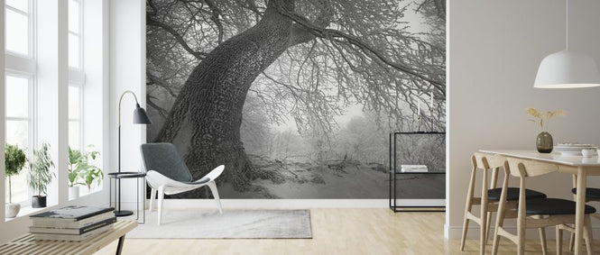 PHOTOWALL / Winters Way (e327796)