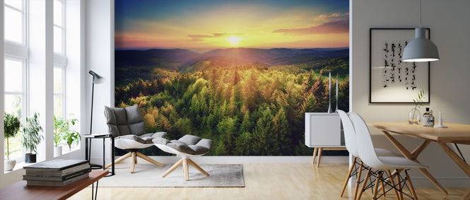 PHOTOWALL / Sunset Over the Forest (e327804)