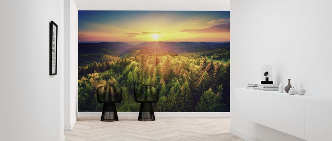 PHOTOWALL / Sunset Over the Forest (e327804)