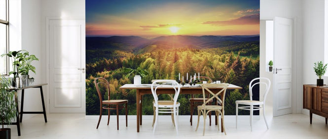 PHOTOWALL / Sunset Over the Forest (e327804)