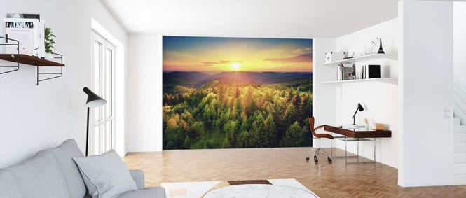 PHOTOWALL / Sunset Over the Forest (e327804)