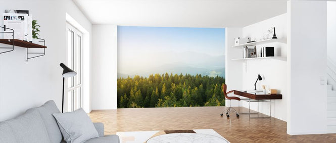 PHOTOWALL / Pine Forest at Sunrise (e327809)