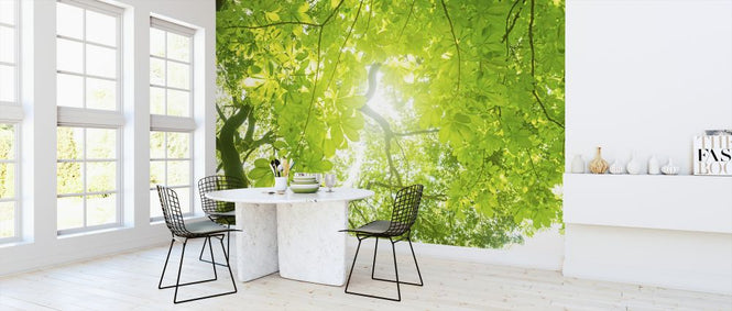 PHOTOWALL / Green Tree (e327811)