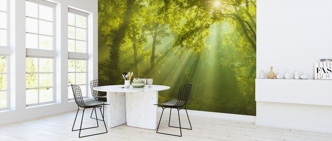 PHOTOWALL / Green Forest Sunlight (e327812)