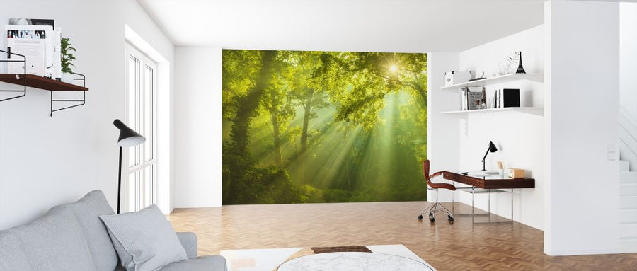 PHOTOWALL / Green Forest Sunlight (e327812)