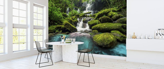 PHOTOWALL / Waterfall in Green Forest (e327815)