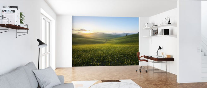 PHOTOWALL / Spring Grass Field (e327817)