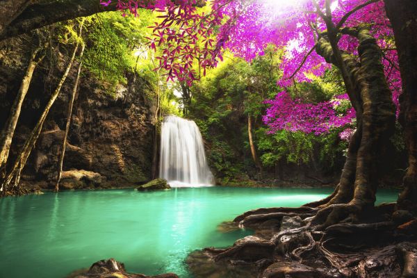 PHOTOWALL / Waterfall in Autumn Forest (e327830)