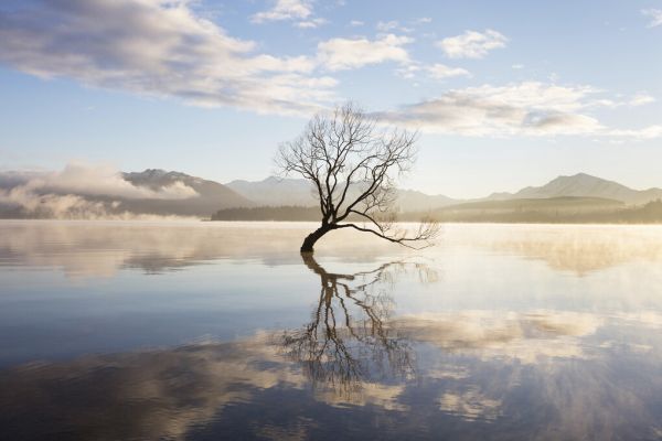PHOTOWALL / Morning Mist on Lake (e327833)