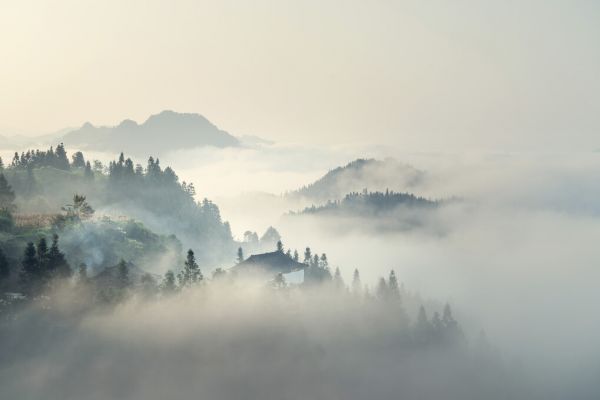 PHOTOWALL / Morning Mist on Mountains (e327836)