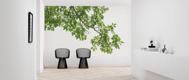 PHOTOWALL / Tree Leaves and Branches (e327839)
