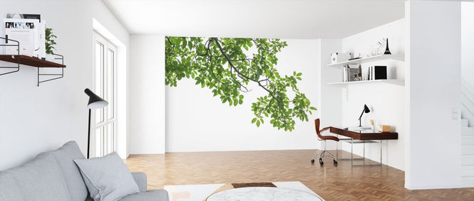 PHOTOWALL / Tree Leaves and Branches (e327839)