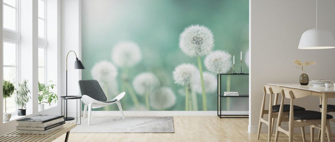 PHOTOWALL / Dandelion Flower (e327845)