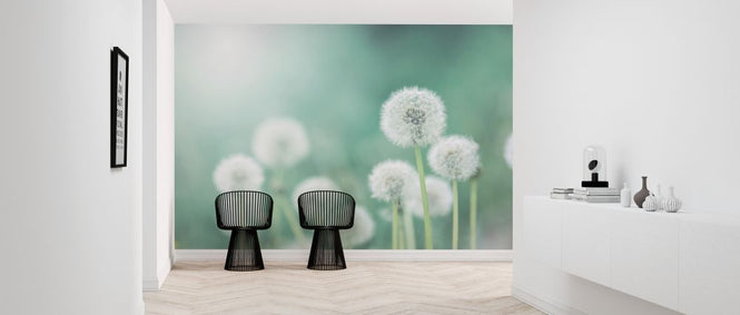 PHOTOWALL / Dandelion Flower (e327845)