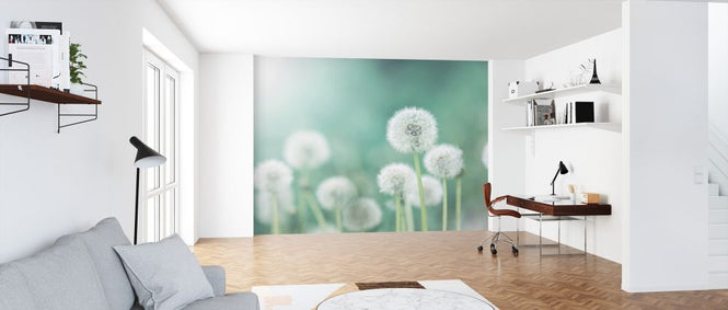 PHOTOWALL / Dandelion Flower (e327845)