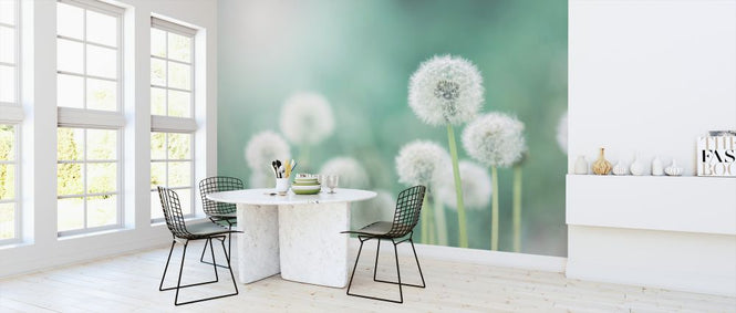 PHOTOWALL / Dandelion Flower (e327845)