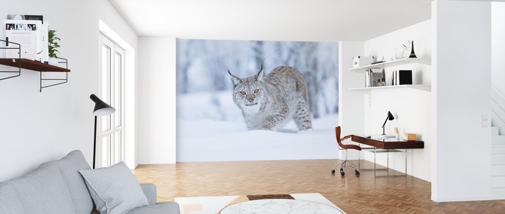 PHOTOWALL / Eurasian Lynx (e325044) | 輸入壁紙専門店 WALPA