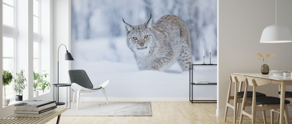 PHOTOWALL / Eurasian Lynx (e325044) | 輸入壁紙専門店 WALPA
