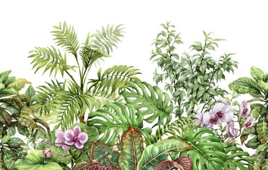 PHOTOWALL / Tropical Plants (e325051)